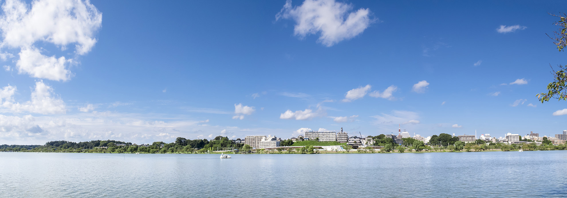 水戸市千波湖からの風景